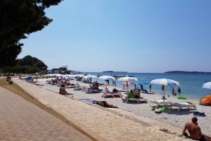 Pula: Boat Cruise around Brijuni National Park with Swimming