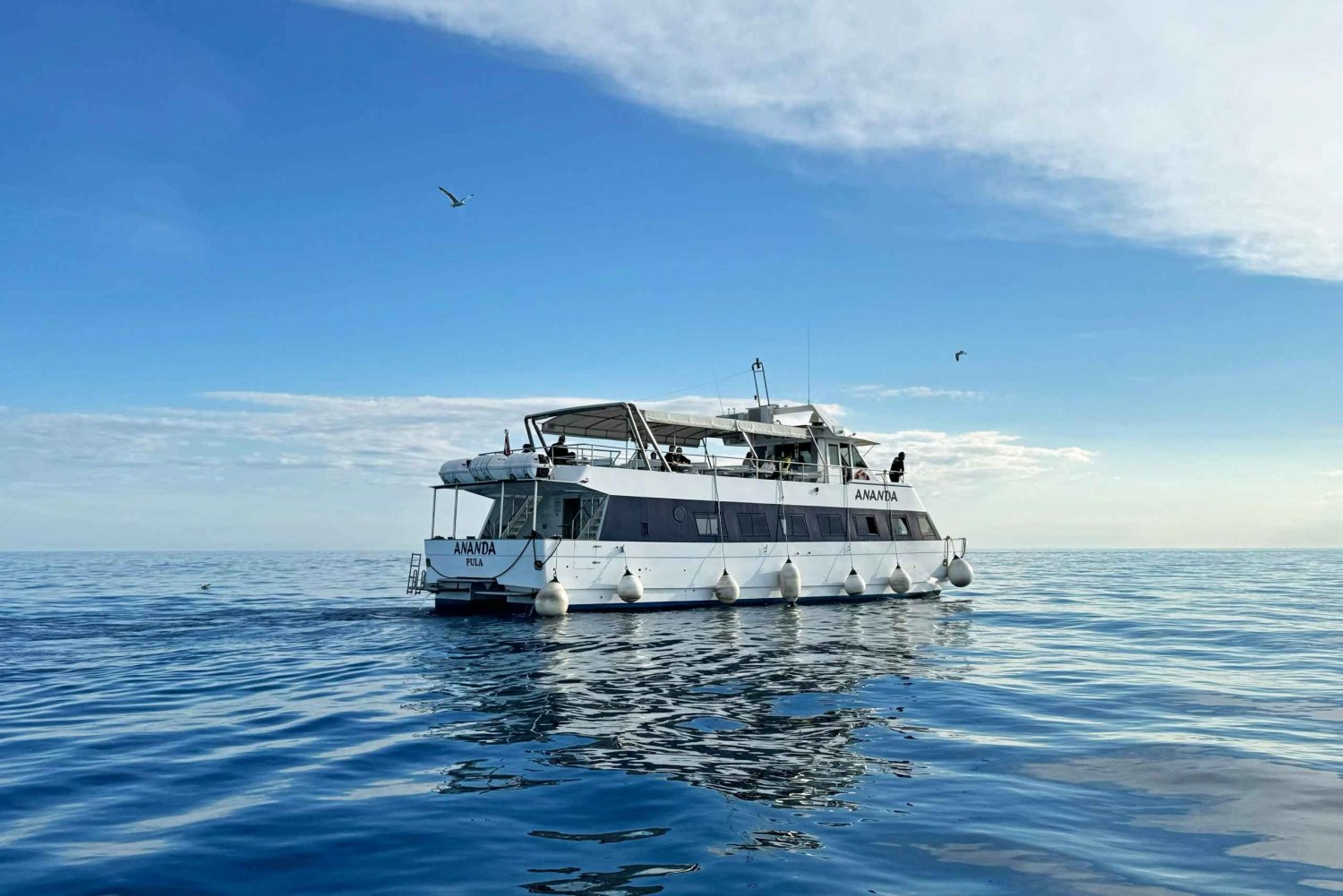 From Pula: Rovinj & NP Brijuni cruise with Red Island visit