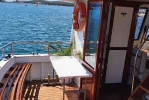 Pula: Brijuni Sunset Dolphin Watching Tour w/ Dinner/Drinks
