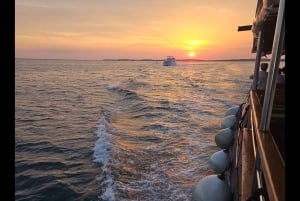 Pula: rondvaart bij zonsondergang naar de Brijuni-eilanden met dolfijnen en diner