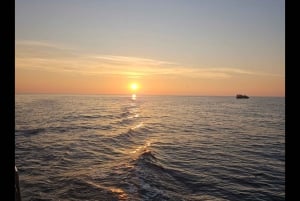 Pula: rondvaart bij zonsondergang naar de Brijuni-eilanden met dolfijnen en diner
