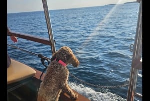 Pula: rondvaart bij zonsondergang naar de Brijuni-eilanden met dolfijnen en diner