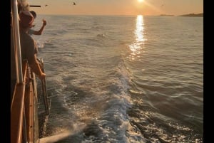 Pula: rondvaart bij zonsondergang naar de Brijuni-eilanden met dolfijnen en diner