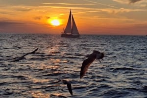 Pula: rondvaart bij zonsondergang naar de Brijuni-eilanden met dolfijnen en diner