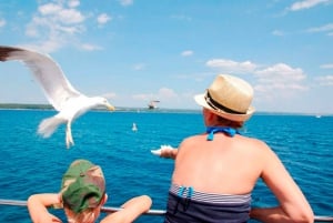Pula: National Park Brijuni Island Visit & Dolphin Cruise