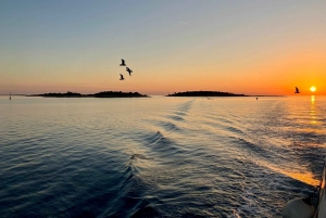 Pula: Brijuni National Park Sunset Cruise with Open Bar