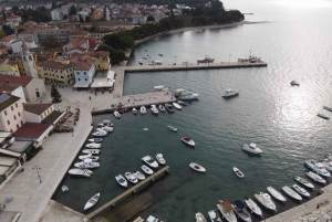 Pula: Brijuni National Park & Swimming Tour (in Fažana)