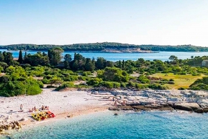 Pula: Brijuni National Park Tour with Island Visit