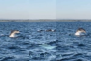 Pula: excursão de observação de golfinhos ao pôr do sol em Brijuni com jantar/bebidas