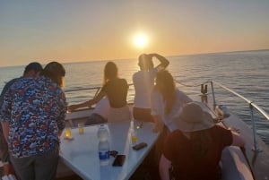 Pula: Brijuni Sunset Dolphin Watching Tour mit Abendessen/Getränken