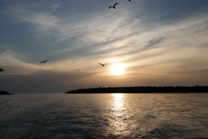 Pula: excursão de observação de golfinhos ao pôr do sol em Brijuni com jantar/bebidas