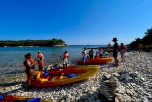 Pula: excursión en kayak por cuevas, cañones e islas, snorkel y exploración