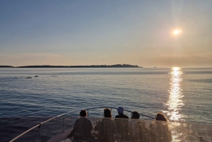 Pula: Halv- eller heldagstur på yacht med skipper