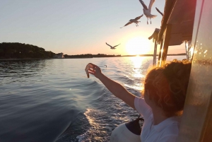 Pula: Cruising into Sunset with Dolphins