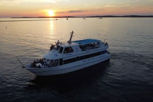 Pula: Dolphin&Sunset Cruise in Brijuni with Dinner&Drinks