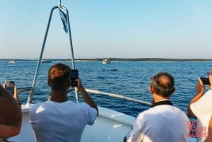 Pula: Dolphin&Sunset Cruise in Brijuni with Dinner&Drinks