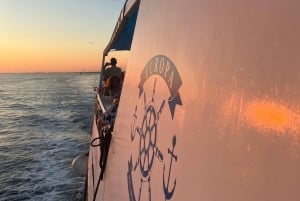 Pula: Dolphin&Sunset Cruise in Brijuni with Dinner&Drinks