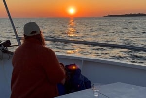 Pula: Dolphin&Sunset Cruise in Brijuni with Dinner&Drinks