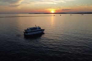 Pula: Dolphin&Sunset Cruise in Brijuni with Dinner&Drinks