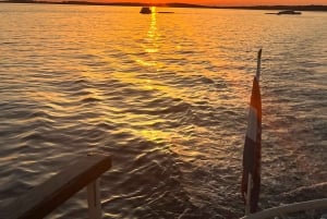 Pula: Dolphin&Sunset Cruise in Brijuni with Dinner&Drinks