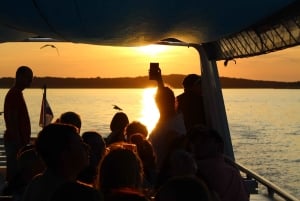 Pula: Dolphin&Sunset Cruise in Brijuni with Dinner&Drinks