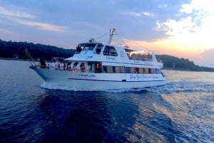 Pula: Dolphin&Sunset Cruise in Brijuni with Dinner&Drinks