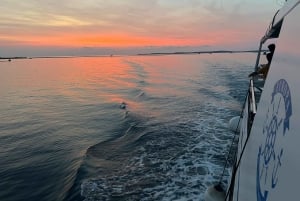 Pula: Dolphin&Sunset Cruise in Brijuni with Dinner&Drinks