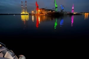 Pula: Dolphin&Sunset Cruise in Brijuni with Dinner&Drinks