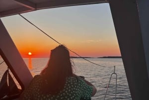 Pula: Dolphin&Sunset Cruise in Brijuni with Dinner&Drinks