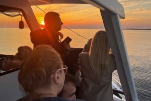 Pula: Dolphin&Sunset Cruise in Brijuni with Dinner&Drinks