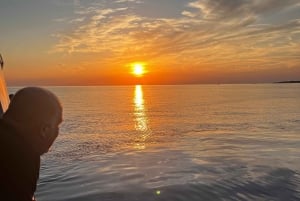 Pula: Dolphin&Sunset Cruise in Brijuni with Dinner&Drinks