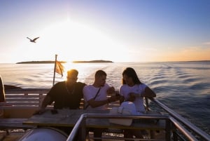 Pula: Dolphin&Sunset Cruise in Brijuni with Dinner&Drinks