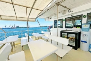 Pula: Dolfijn Zonsondergang Cruise naar Brijuni met Diner & Drankjes