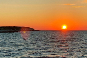 Pula: Delfin- och solnedgångstur NP Brijuni med middag och dryck +