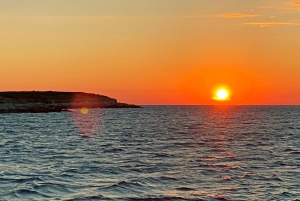 Pula: Dolfijn Zonsondergang Cruise naar Brijuni met Diner & Drankjes