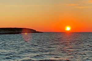 Pola: Tour dei delfini e del tramonto NP Brijuni con cena e bevande +