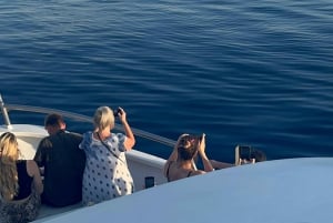 Pula : Dolphin Watching & Sunset Cruise with Dinner & Drinks