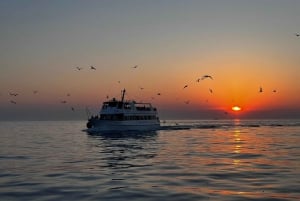 Pula : Dolphin Watching & Sunset Cruise with Dinner & Drinks
