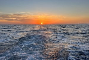 Pula: Dolphin Watching Sunset Cruise with Dinner