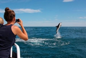 Pula: Dolphins Watching & Wildlife Cruise with all inclusive