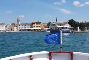 Pula: Dolphins Watching & Wildlife Cruise with all inclusive