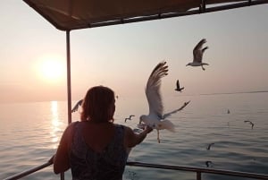 Pula: Dolphins Watching & Wildlife Cruise with all inclusive