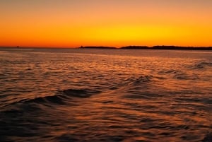 Pula: Dolphins Watching & Wildlife Cruise with all inclusive