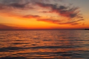 Pula: Dolphins Watching & Wildlife Cruise with all inclusive