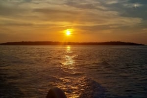 Pula: Dolphins Watching & Wildlife Cruise with all inclusive