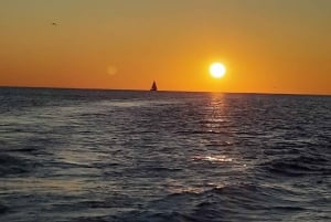 Pula: Dolphins Watching & Wildlife Cruise with all inclusive