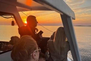 Pula: Exclusive Dolphin & Sunset Cruise with Dinner & Drinks