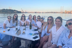 Pula: avistamiento de delfines en Brijuni al atardecer, cena y bebidas