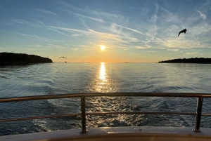 Pula: avistamiento de delfines en Brijuni al atardecer, cena y bebidas