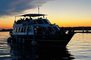 Pula: avistamiento de delfines en Brijuni al atardecer, cena y bebidas
